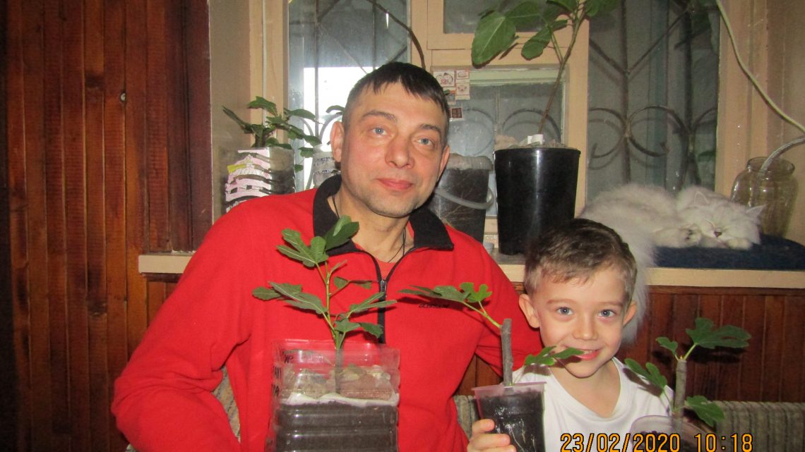 Юрий Кузнецов: Коллекционирую сорта инжира и он мне все больше нравится Юрий Кузнецов: Коллекционирую сорта инжира и он мне все больше нравится