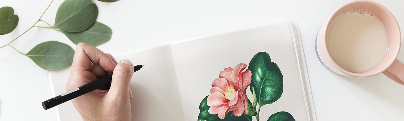 САЖЕНЦЫРУ.РФ