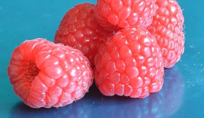 Малина Маравилла купить