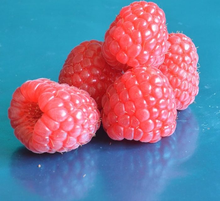 Малина Маравилла купить